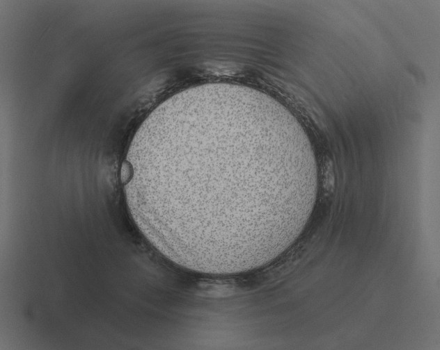 X0000116430559200912291910