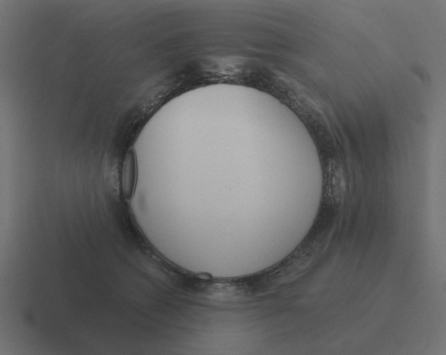 X0000116430562200912291910