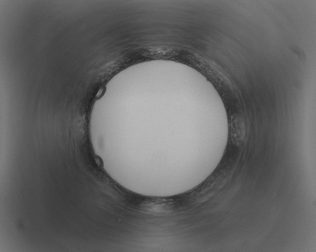 X0000116430563200912291910