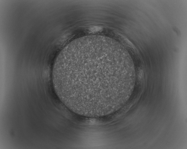 X0000116430565200912291910