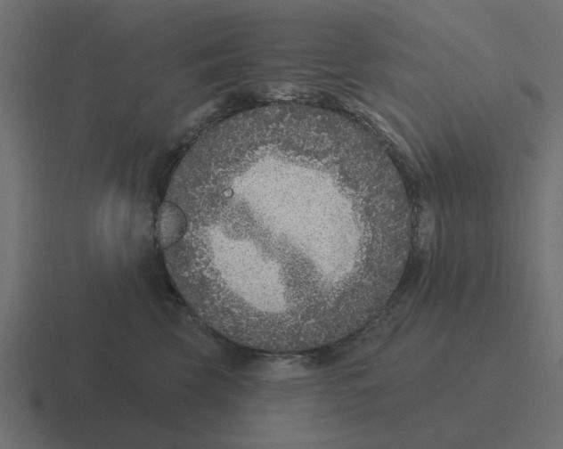 X0000116430569200912291910