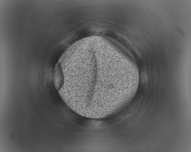X0000116430570200912291910