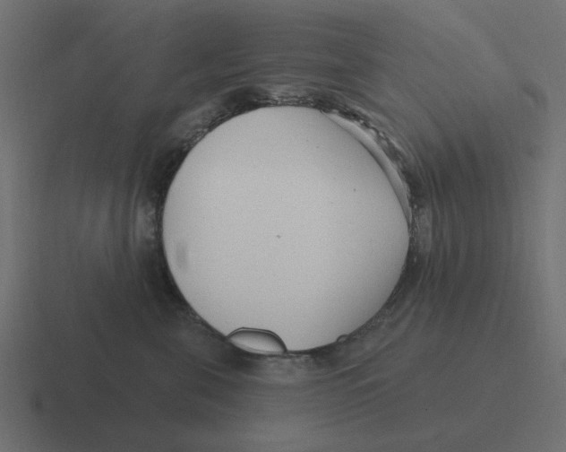 X0000116430571200912291910