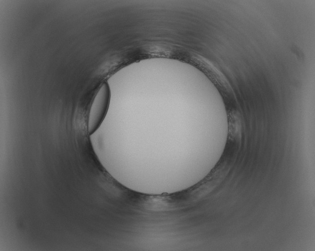 X0000116430573200912291910