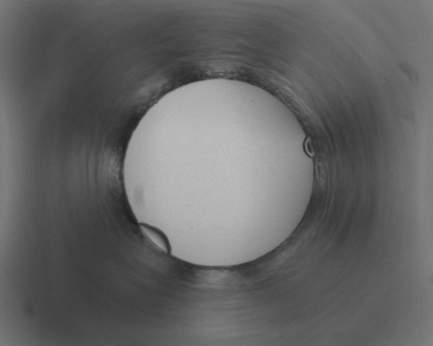 X0000116430575200912291910
