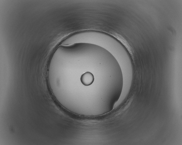 X0000116430577200912291910