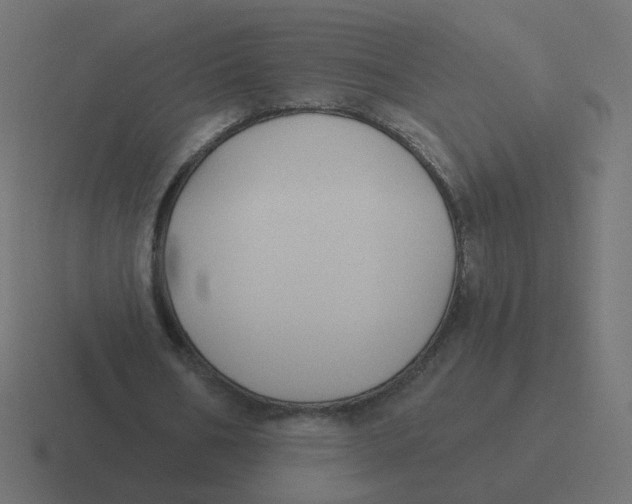 X0000116430578200912291910