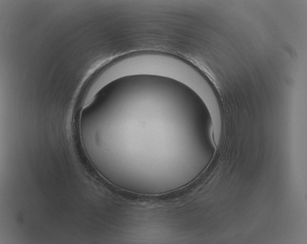 X0000116430579200912291910