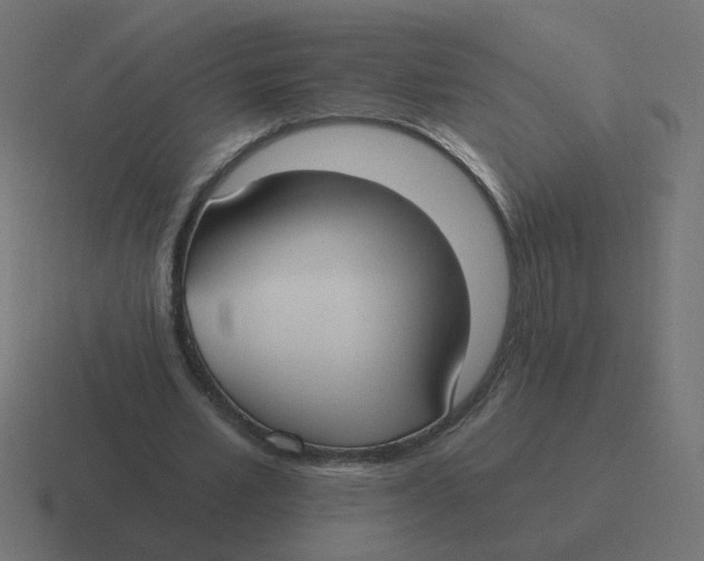 X0000116430581200912291910