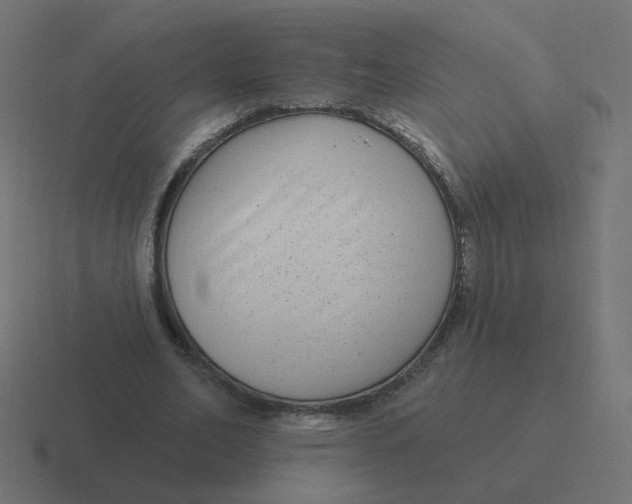 X0000116430582200912291910