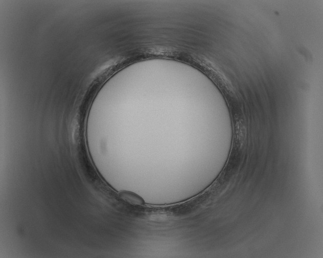 X0000116430587200912291910