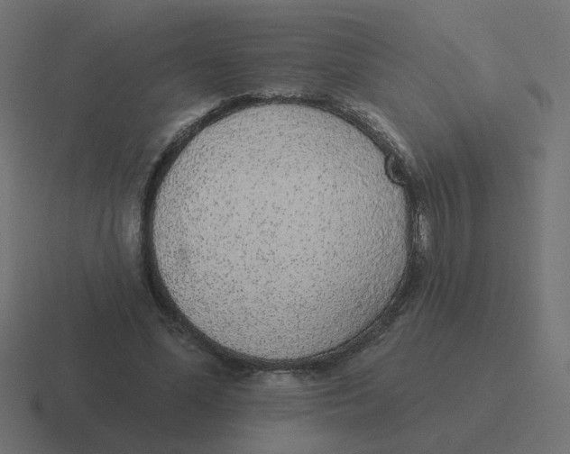 X0000116430588200912291910