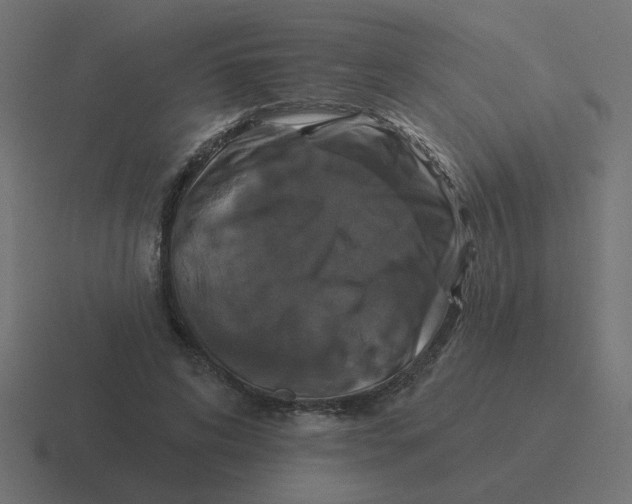 X0000116430592200912291910