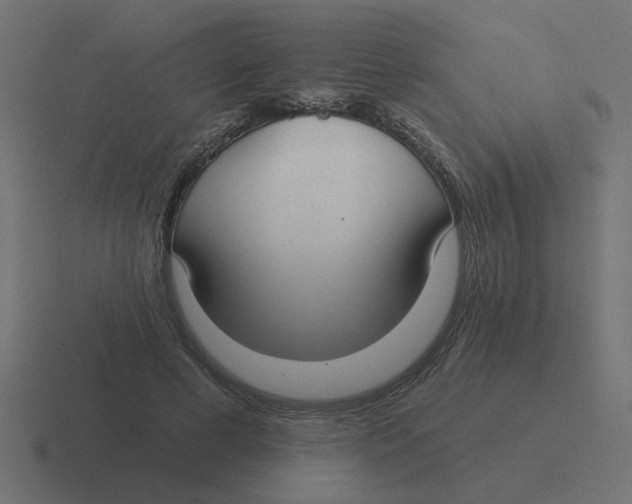 X0000116430593200912291910
