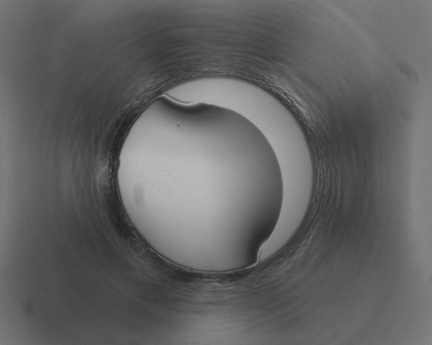 X0000116430597200912291910