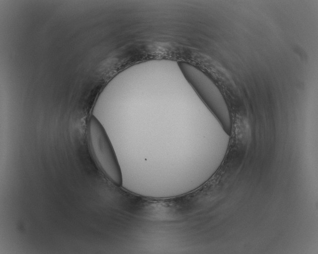 X0000116430611200912291909