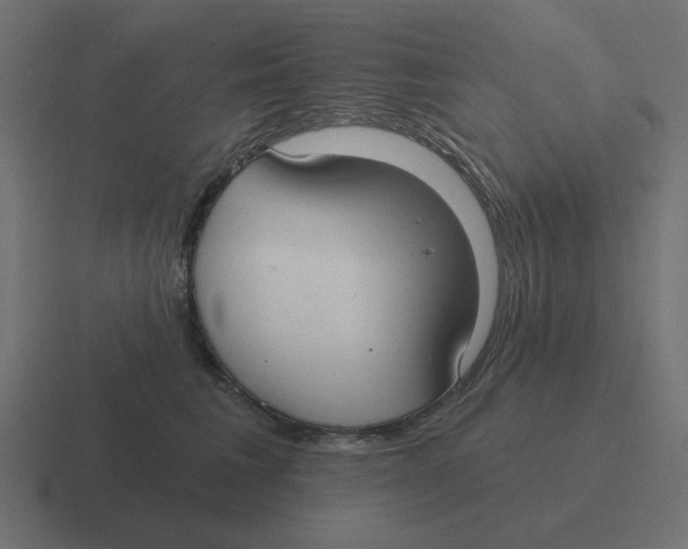 X0000116430613200912291909