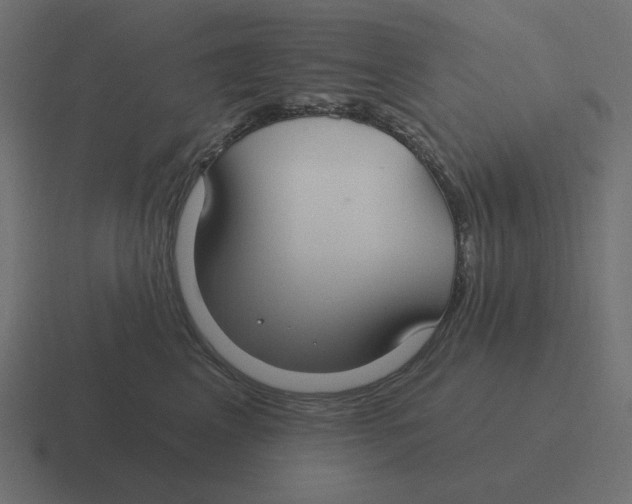 X0000116430617200912291909