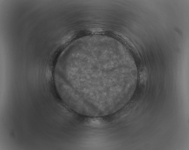 X0000116430618200912291909