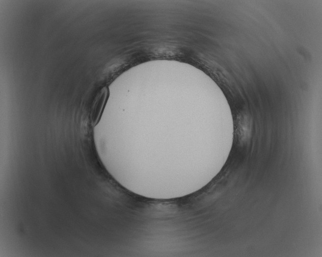 X0000116430619200912291909