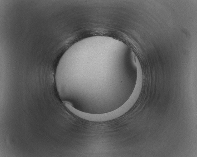 X0000116430621200912291909