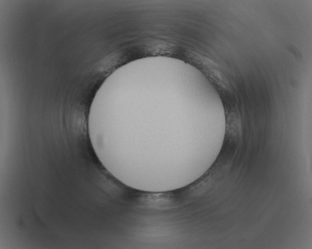 X0000116430622200912291909