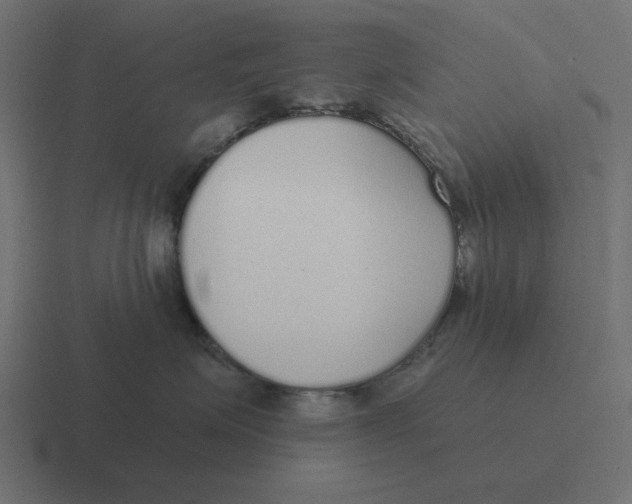 X0000116430623200912291909
