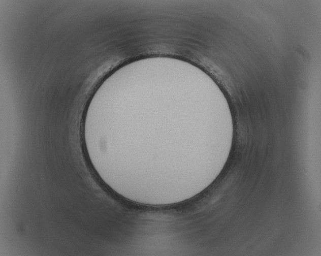 X0000116430625200912291909