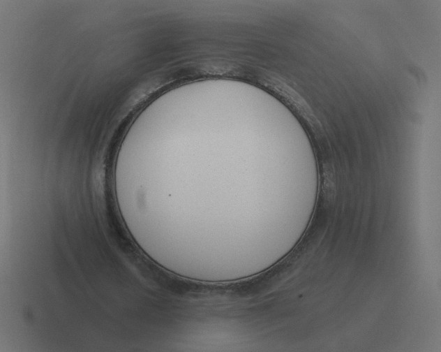 X0000116430626200912291909