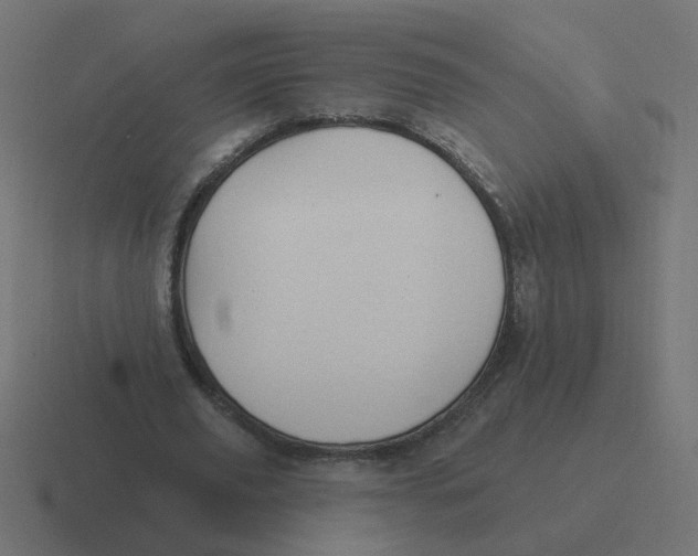 X0000116430629200912291909