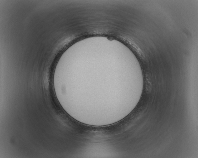X0000116430631200912291909