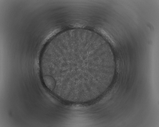 X0000116430634200912291909