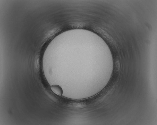 X0000116430638200912291909