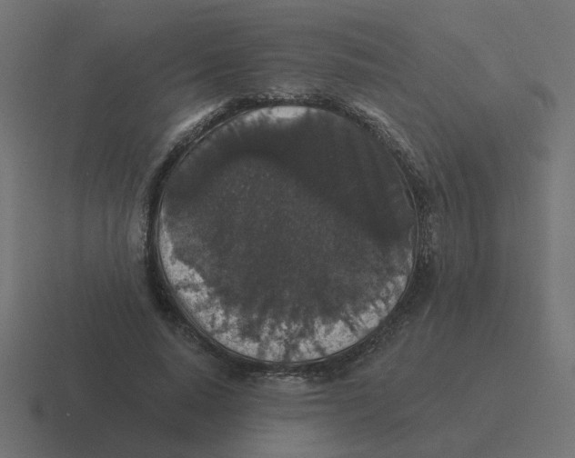 X0000116430640200912291909