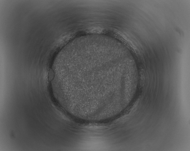 X0000116430641200912291909