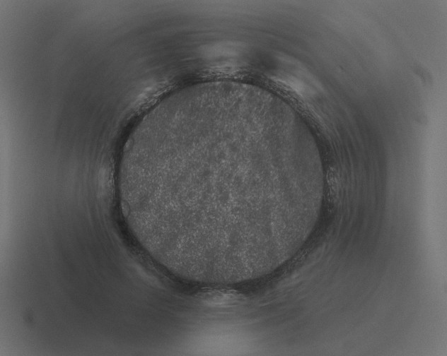 X0000116430642200912291909