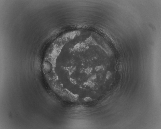 X0000116430643200912291909