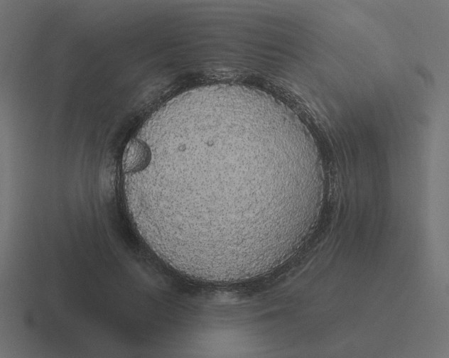 X0000116430647200912291909