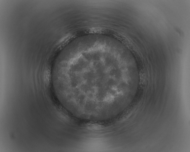 X0000116430648200912291909