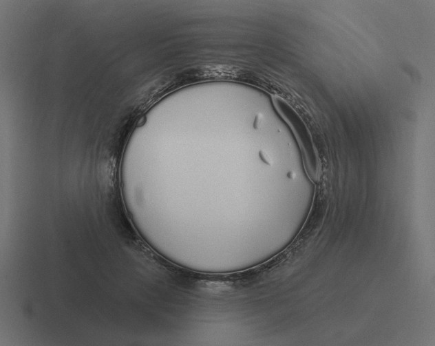 X0000116430649200912291909
