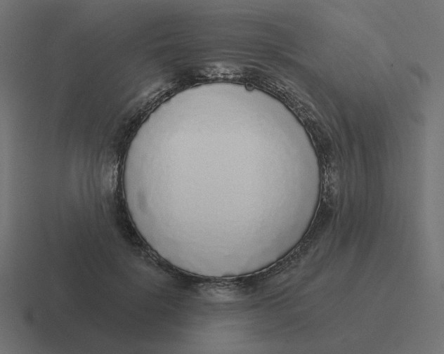 X0000116430652200912291909