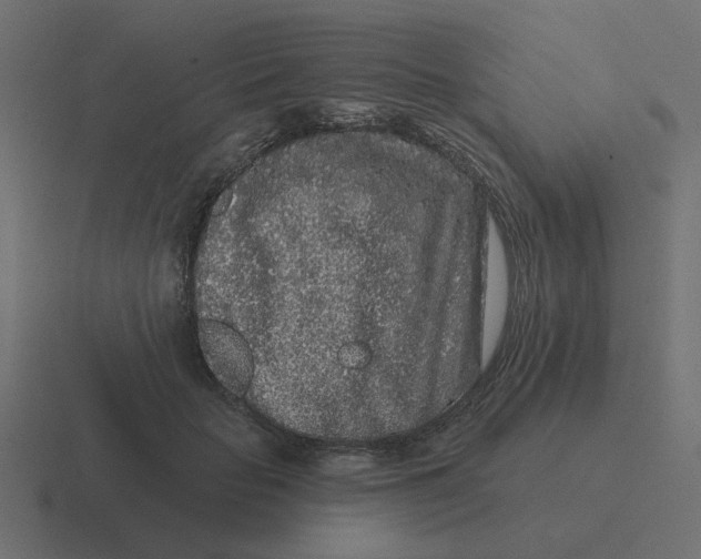 X0000116430653200912291909
