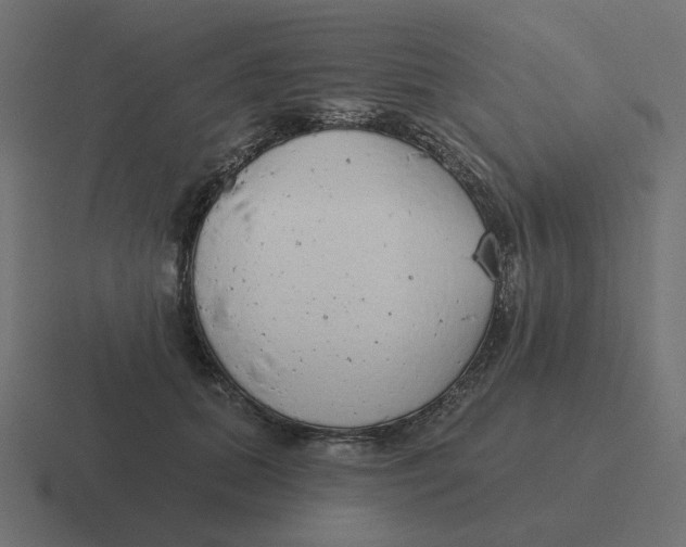 X0000116430655200912291909