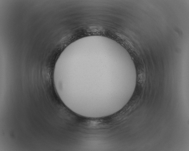 X0000116430662200912291909