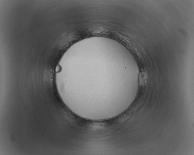 X0000116430664200912291909