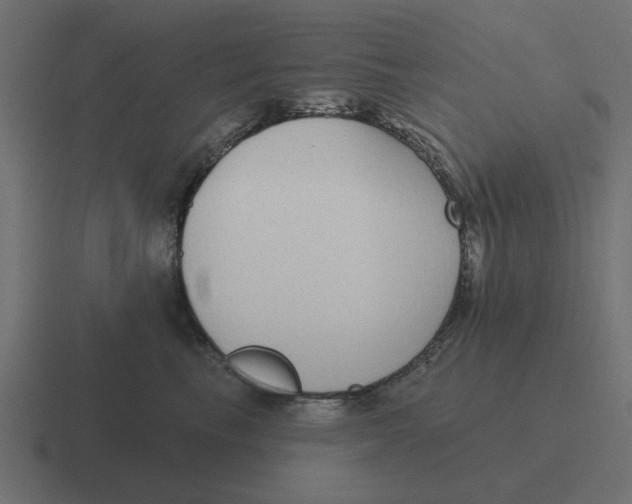 X0000116430665200912291909