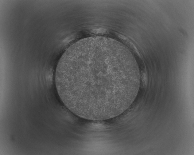 X0000116430668200912291909
