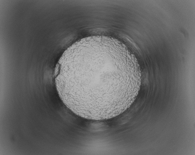 X0000116430669200912291909