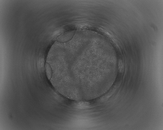 X0000116430670200912291909