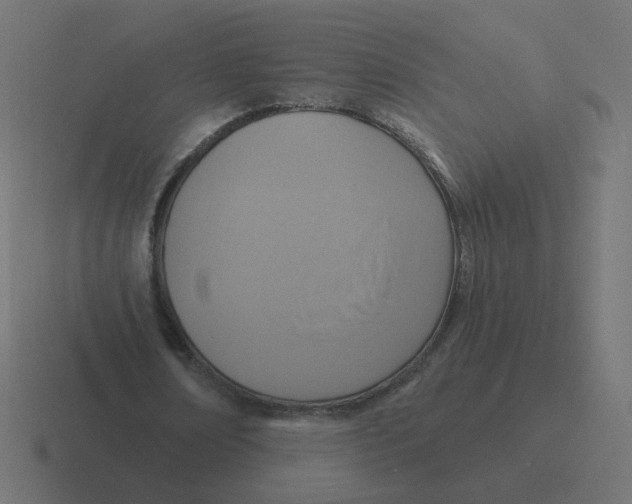 X0000116430674200912291909